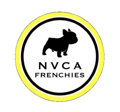 NVCA Frenchies